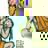 firstrikecolor.gif