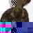 rigolocolor.jpg